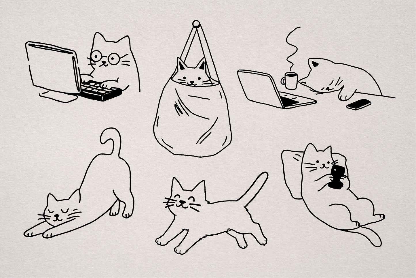 Dear cat diary