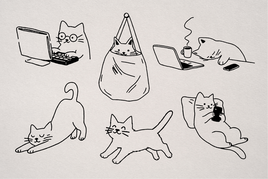 Dear cat diary