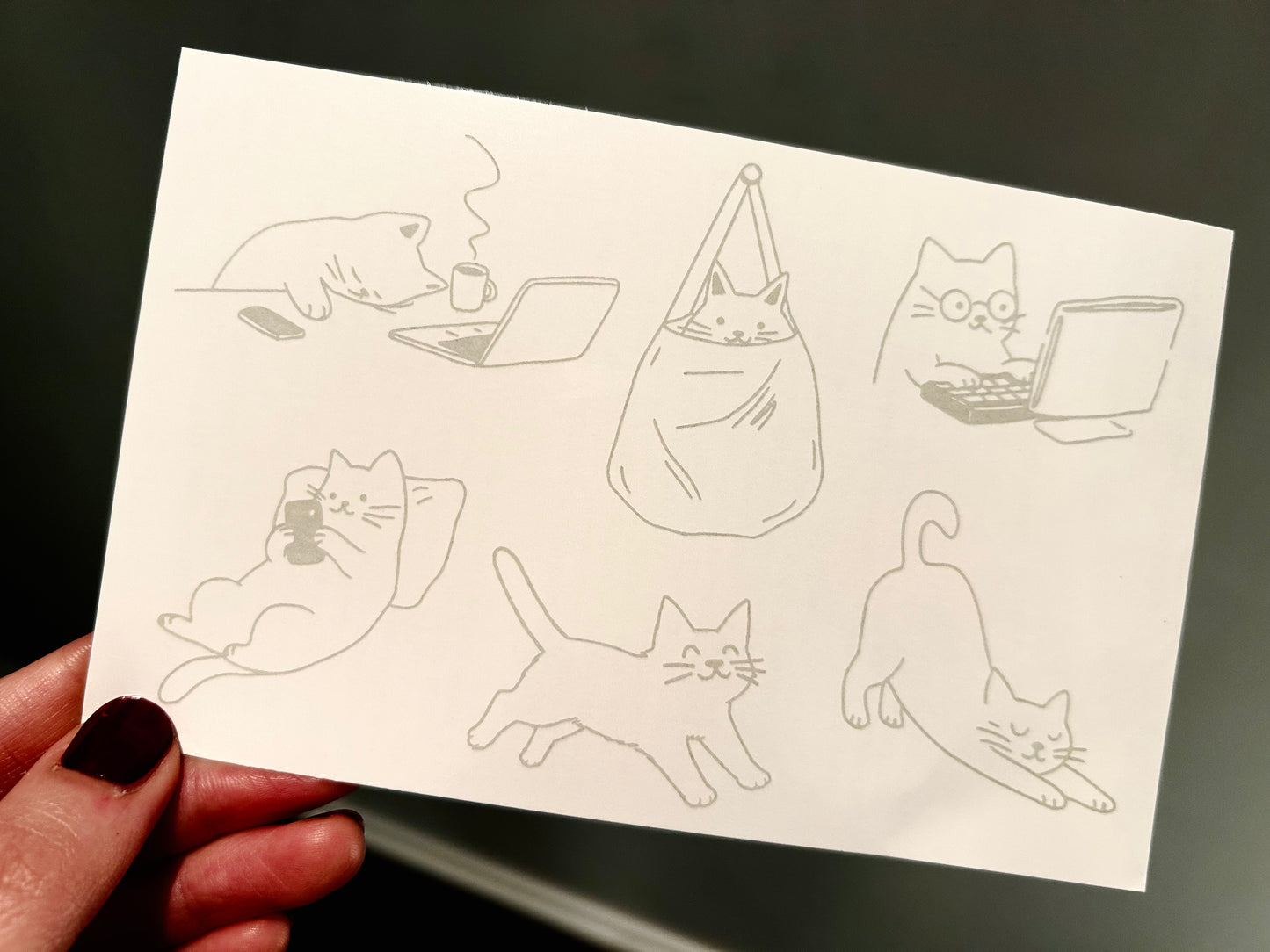 Dear cat diary