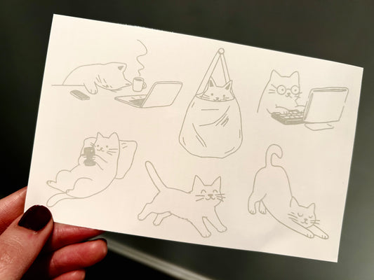 Dear cat diary