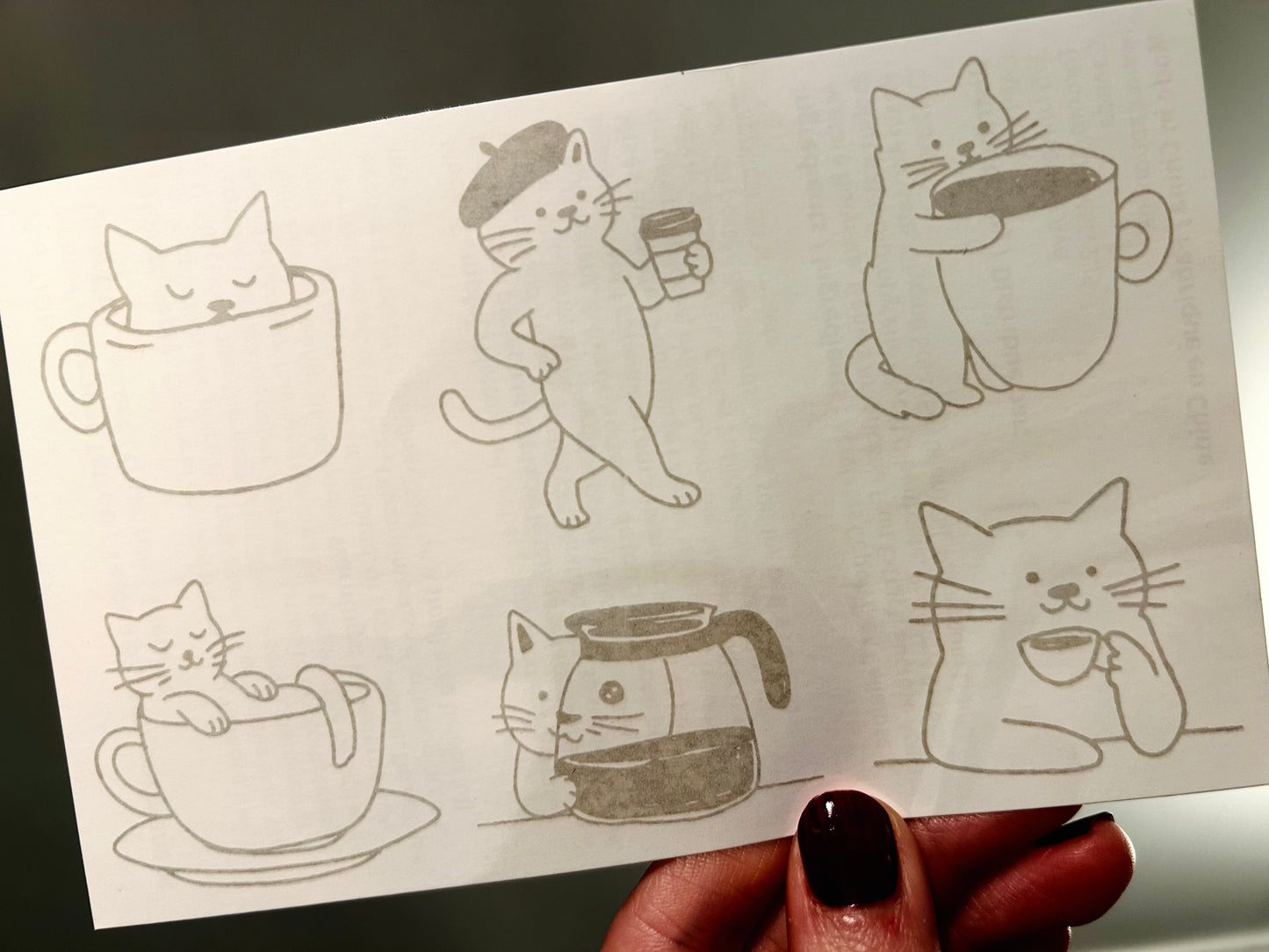 Coffee and meow